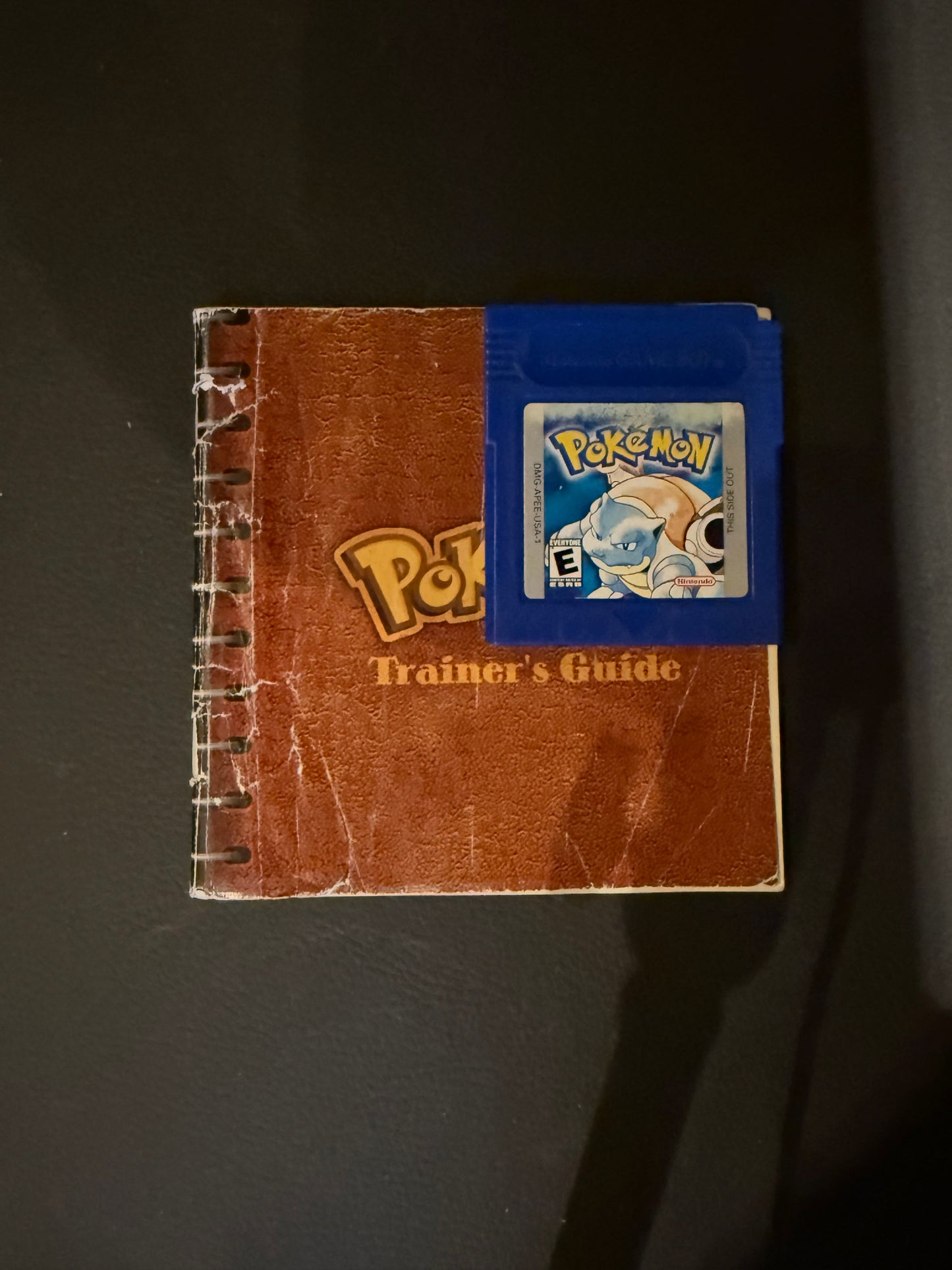Pokémon Blue Version